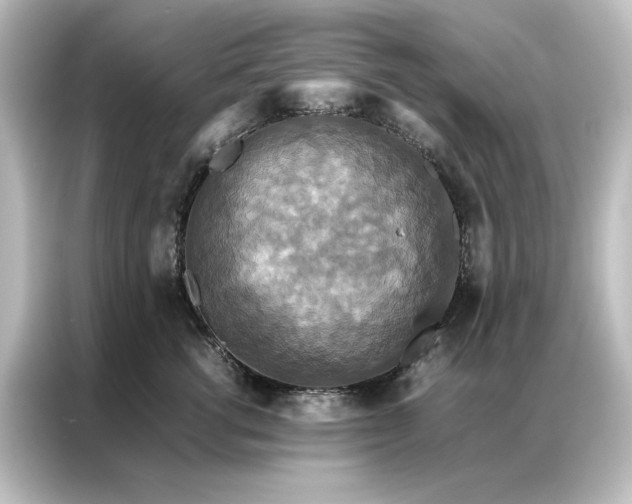 X0000087060762200705021216