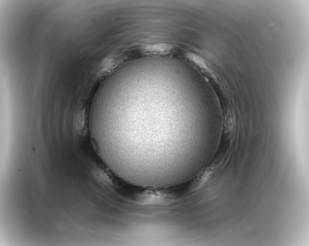 X0000087060764200705021216