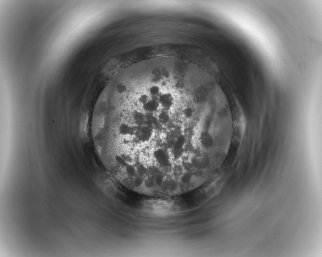 X0000087060765200705021216