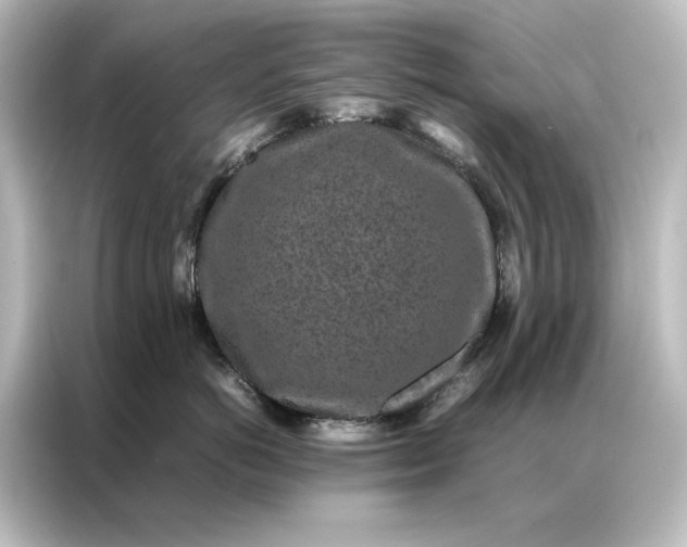 X0000087060766200705021216