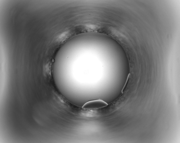 X0000087060768200705021216