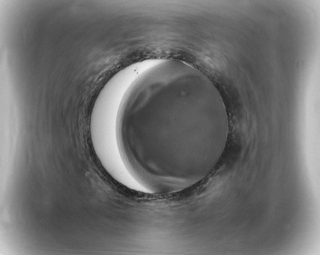 X0000087060769200705021216