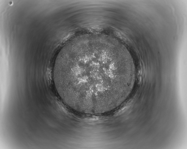 X0000087060772200705021216