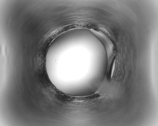 X0000087060773200705021216