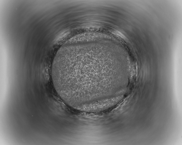 X0000087060774200705021216