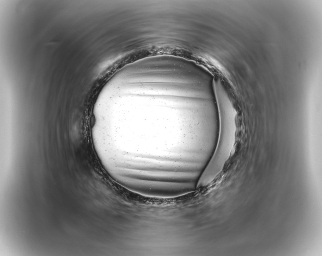 X0000087060775200705021216