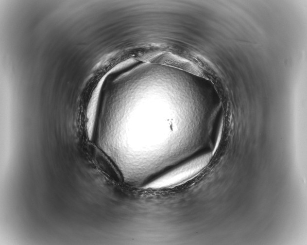 X0000087060776200705021216