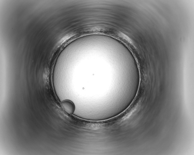 X0000087060778200705021216