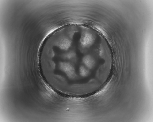 X0000087060779200705021216