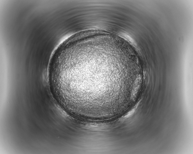 X0000087060780200705021216