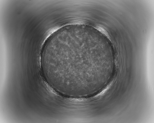 X0000087060781200705021216