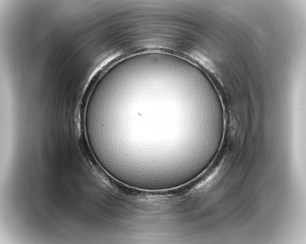 X0000087060782200705021216