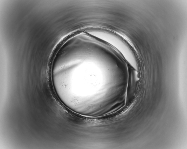 X0000087060783200705021216