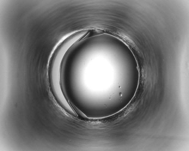 X0000087060784200705021216