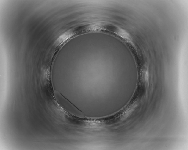 X0000087060785200705021216