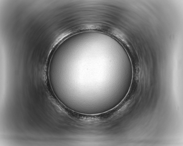 X0000087060786200705021216