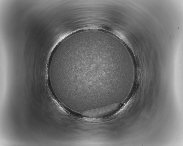 X0000087060789200705021216