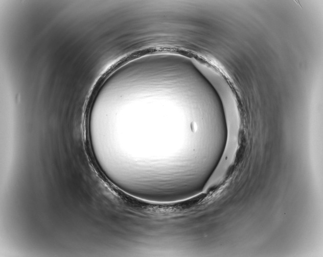 X0000087060791200705021216