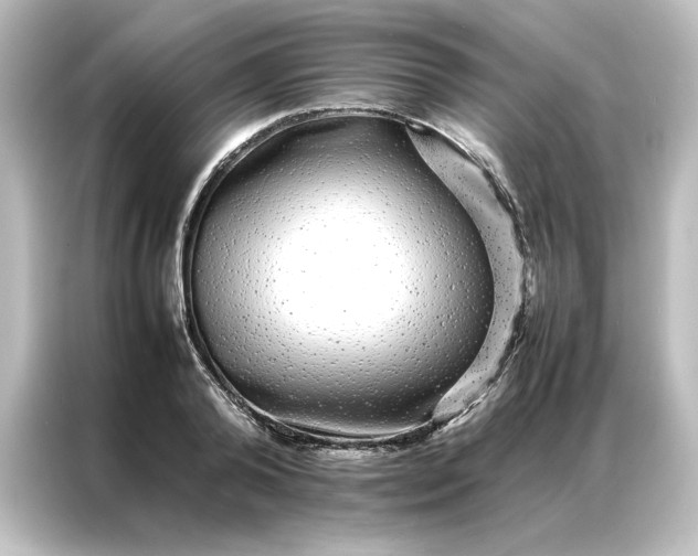 X0000087060792200705021215