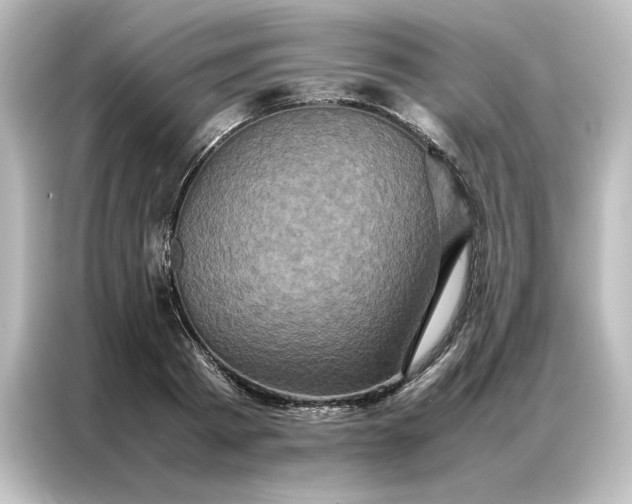 X0000087060793200705021215