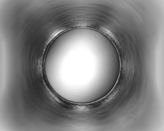 X0000087060794200705021215