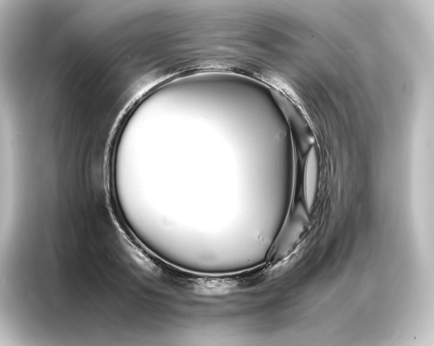 X0000087060795200705021215