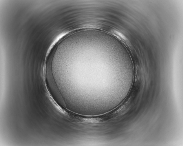 X0000087060796200705021215