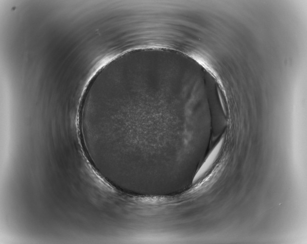 X0000087060797200705021215