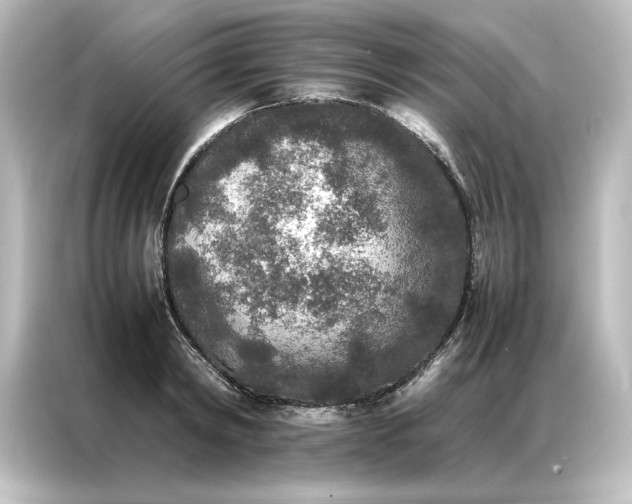 X0000087060798200705021215