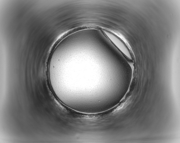 X0000087060799200705021215