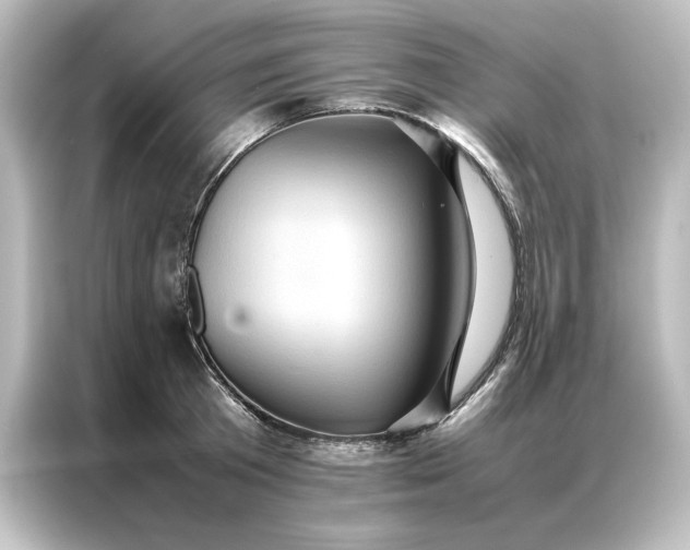 X0000087060801200705021215