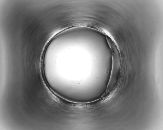 X0000087060803200705021215