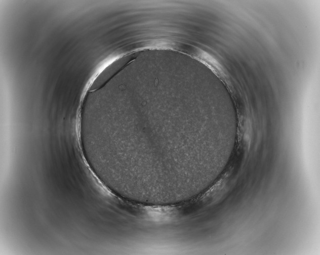 X0000087060804200705021215