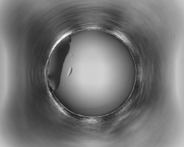 X0000087060806200705021215