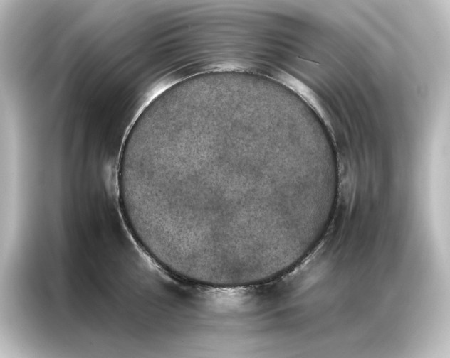 X0000087060810200705021215