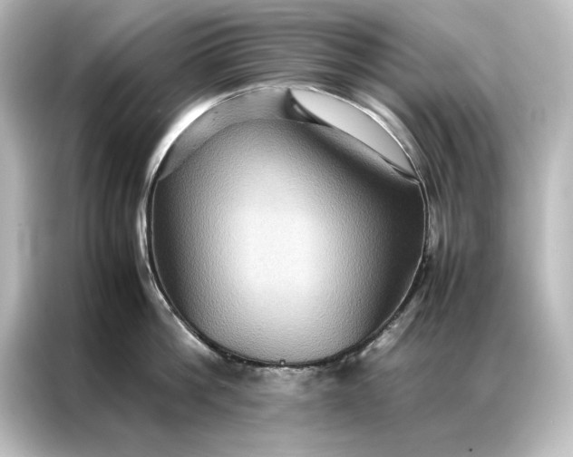 X0000087060812200705021215