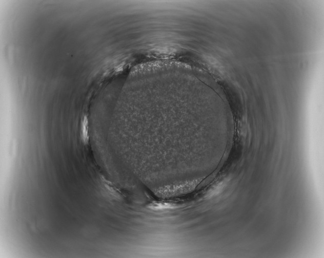 X0000087060818200705021215