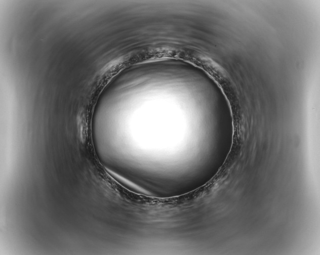 X0000087060821200705021215