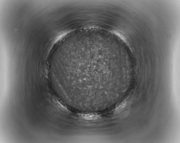 X0000087060823200705021215