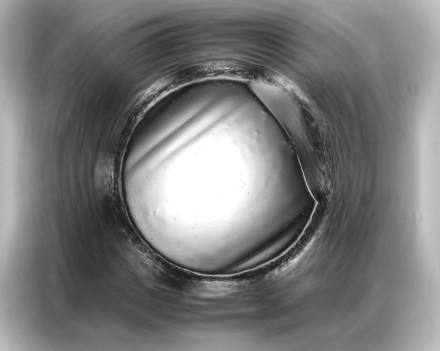 X0000087060825200705021215