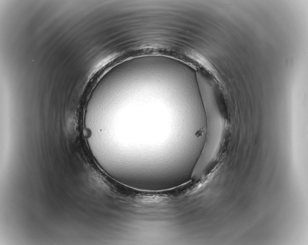 X0000087060826200705021215