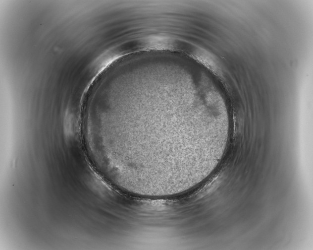 X0000087060828200705021215