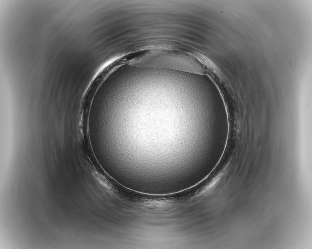 X0000087060830200705021215