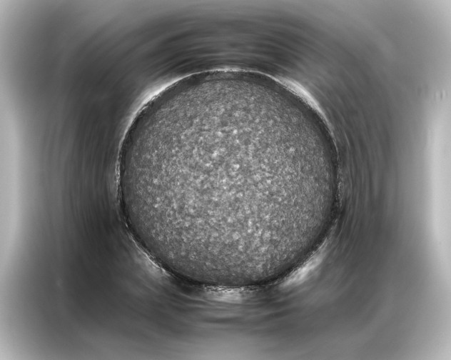 X0000087060831200705021215