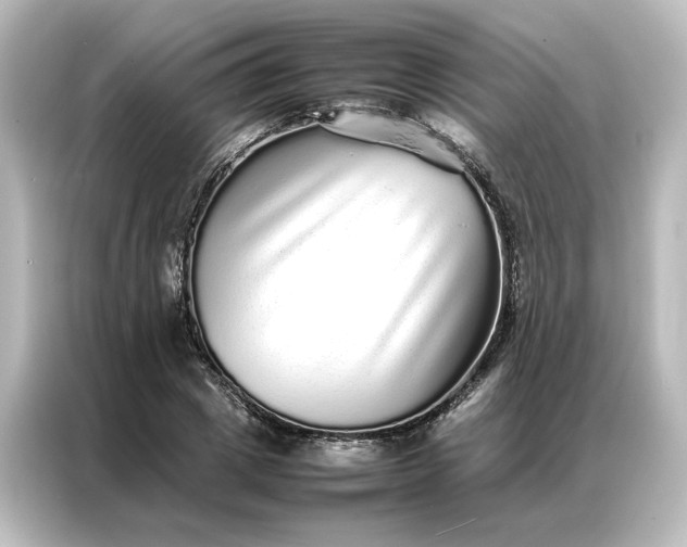 X0000087060833200705021215