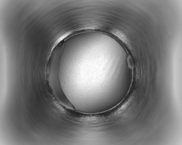 X0000087060834200705021215