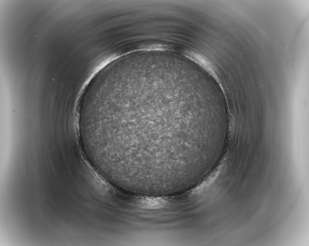 X0000087060835200705021215