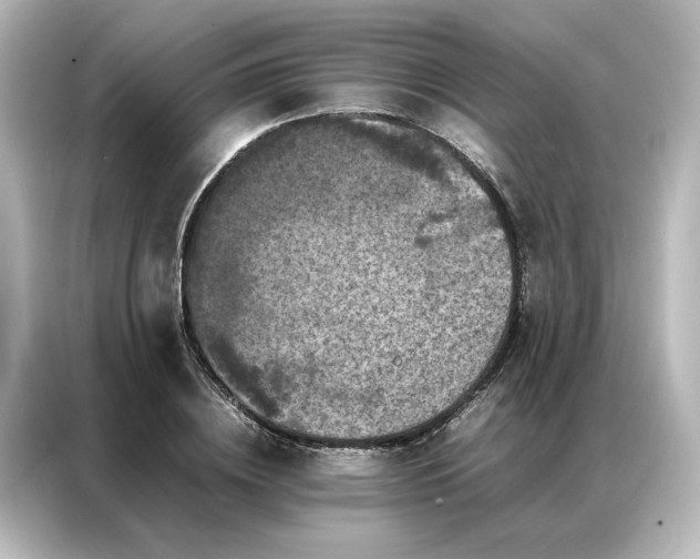 X0000087060836200705021215