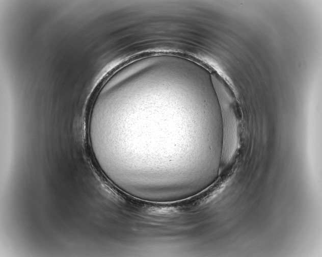 X0000087060837200705021215