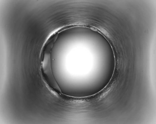 X0000087060838200705021215